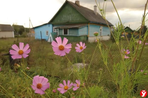В три года весил 7 кг и спал в углу, как собака. Стали известны подробности о семье, в которой родители убили своего сына в Слуцке