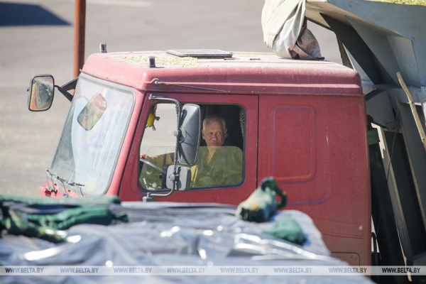В Малоритском районе довольны урожаем кукурузы В Малоритском районе довольны урожаем кукурузы