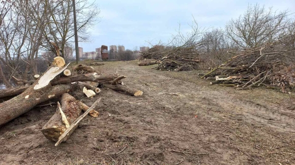 Градоначальник Бреста рассказал, что за работы ведутся в районе Суворовского моста