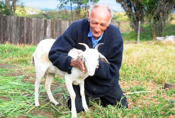 Какие браки самые необычные? Какие браки самые необычные?