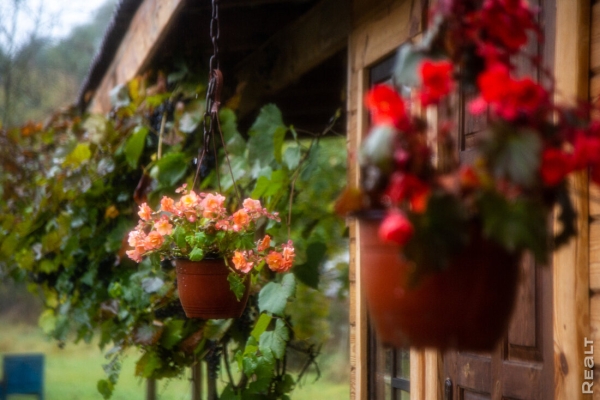 Девушка уехала из столицы в деревню в Березовском районе и нашла себе там дело — ремонтирует дом прадеда. И вот что у нее получилось Девушка уехала из столицы в деревню в Березовском районе и нашла себе там дело — ремонтирует дом прадеда. И вот что у нее получилось