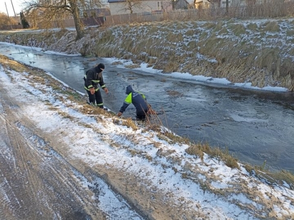 В Дрогичине погибла женщина В Дрогичине погибла женщина