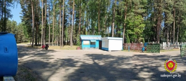 В Лидском районе на кладбище нашли наган образца 1895 года