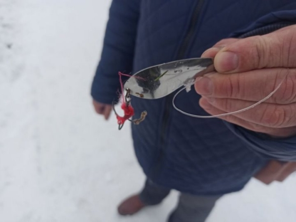 Спасатели пришли на помощь попавшим в ловушки лебедю и лошади в Брестской области