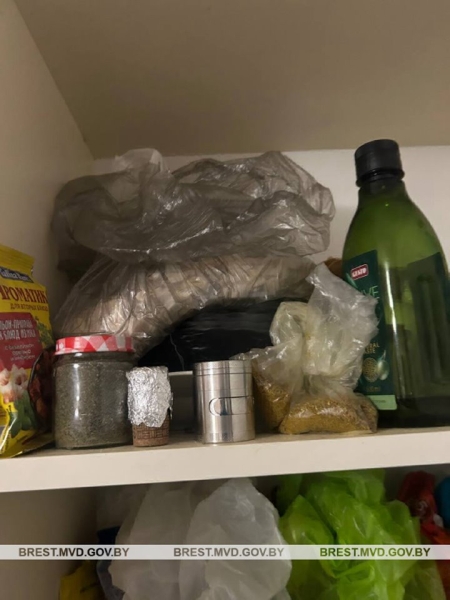 Задержан брестчанин, который выращивал в квартире коноплю Задержан брестчанин, который выращивал в квартире коноплю