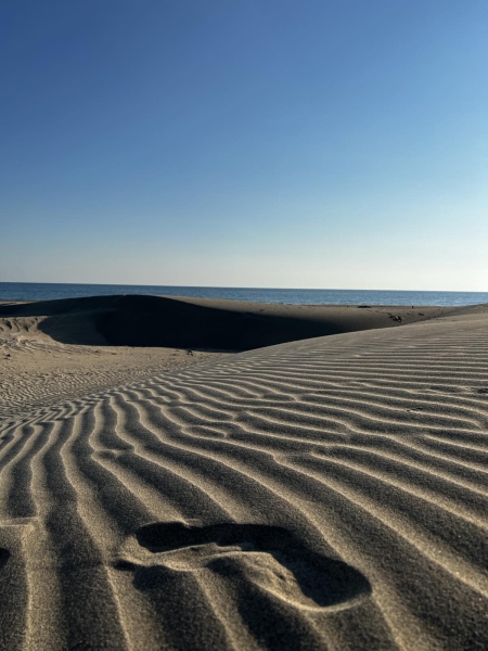 В Турцию через Европу на автомобиле. Белорусы о затратах на топливо и нюансах поездки
