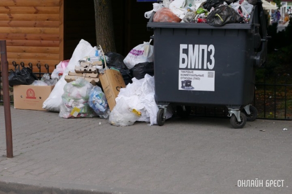 Когда вывозят мусор из частного сектора в Бресте Когда вывозят мусор из частного сектора в Бресте