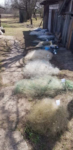 Госинспекция: граждане массово сдают сети. Добровольно! Госинспекция: граждане массово сдают сети. Добровольно!