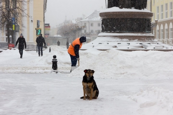 Синоптики рассказали, когда в Беларуси потеплеет
