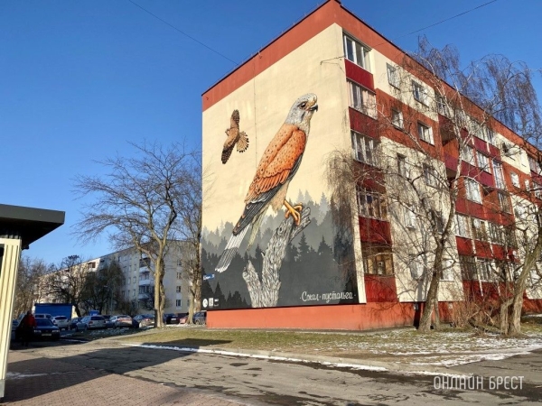 Читатель: Как красиво! Мурал с соколом-пустельгой на Набережной Франциска Скорины в Бресте
Читатель: Как красиво! Мурал с соколом-пустельгой на Набережной Франциска Скорины в Бресте