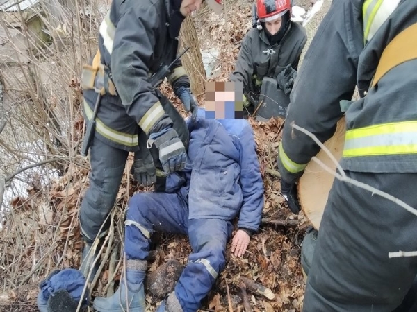 В Мозыре на мужчину упало дерево. Фото и видео В Мозыре на мужчину упало дерево. Фото и видео