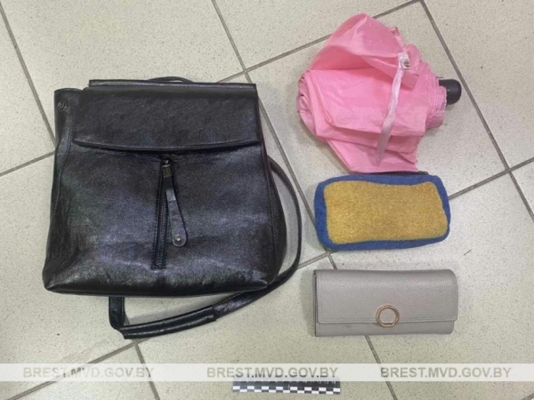 В Пинске по горячим следам задержали грабителя В Пинске по горячим следам задержали грабителя