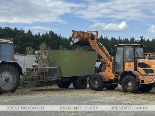 Возле Бреста уничтожено около 1800 килограммов дикорастущей конопли Возле Бреста уничтожено около 1800 килограммов дикорастущей конопли